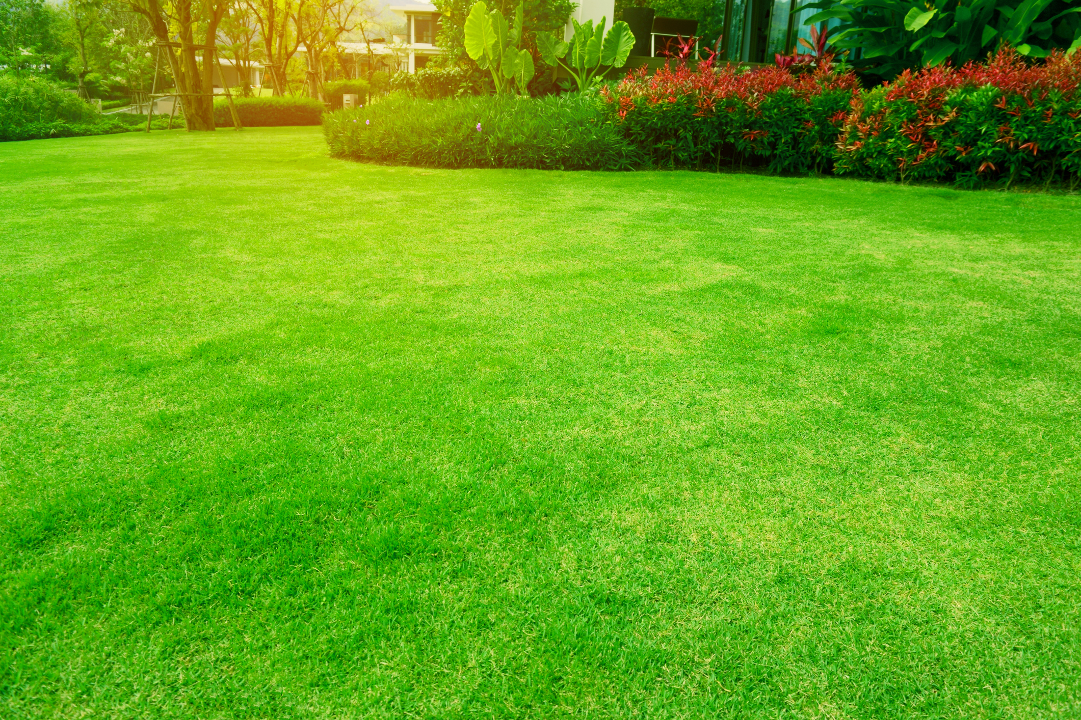 Lawn Mowing by Chips Clips Lawncare MN